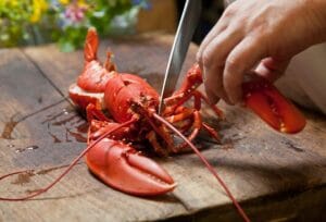 Preparing the cooked lobster