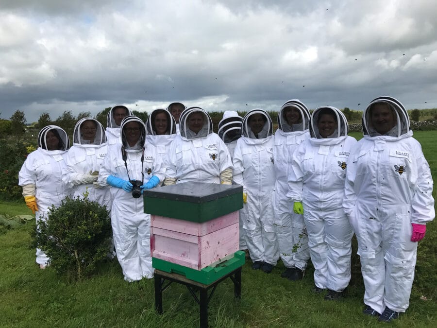Hands-on Beekeeping Tour on Family Farm