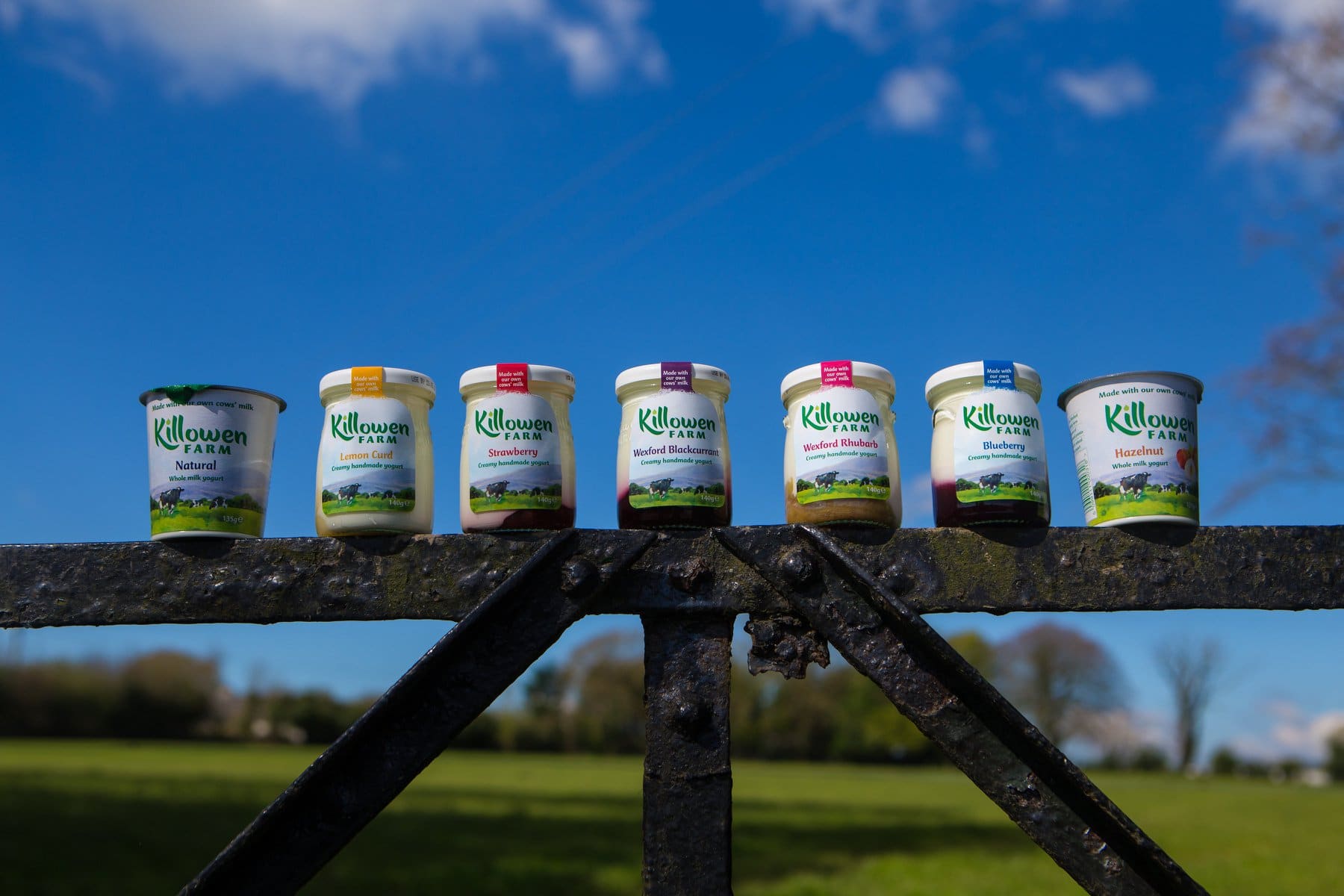 Killowen Yogurt Good Food Ireland
