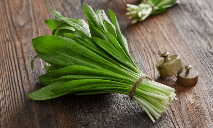 Wild Garlic Pesto