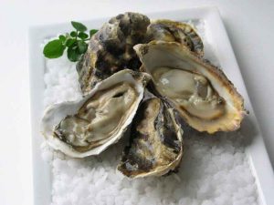 Achill Oysters