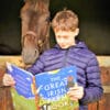 Great Irish Farm Book
