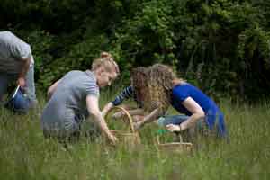 Irish Foragers