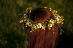 Flowers Crown, May Day, Ireland