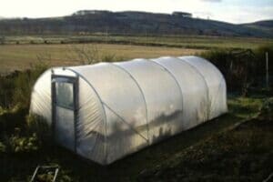 Polytunnel