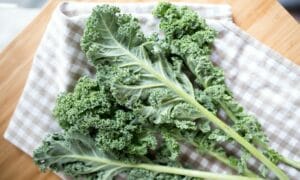 Kale, January Seasonal Food