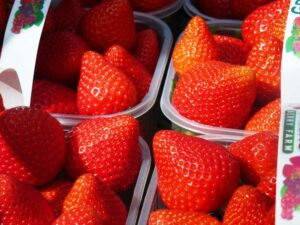 Irish Strawberries. Greens Berry Farm, Co. Wexford, Ireland