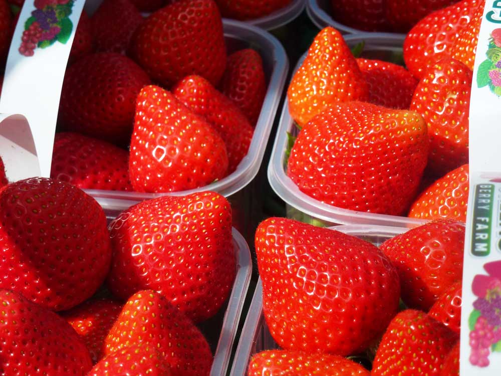 Irish Strawberries Are Now in Season