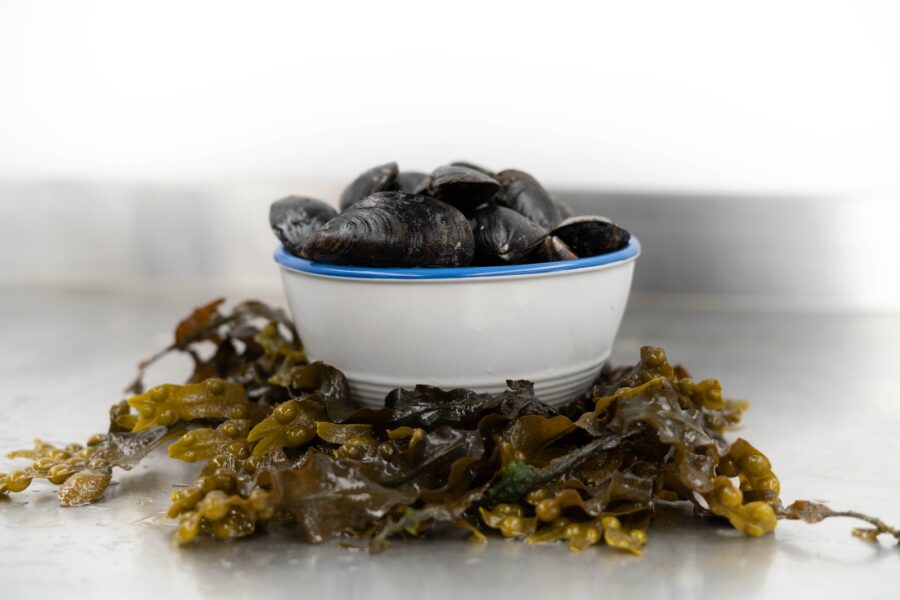 Realt na Mara Steamed Mussels with White Wine Sauce