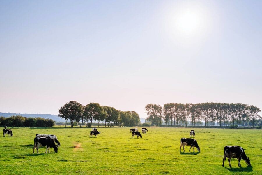 Good Food Ireland® will represent Ireland’s culinary food story at Tocatì 2026 in Verona, Italy.