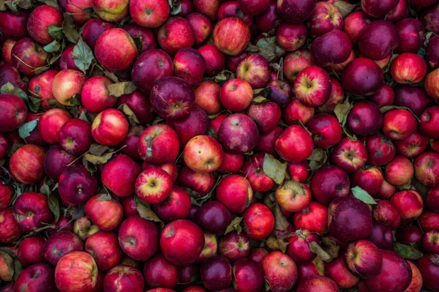 Seasonal Fruits Of Halloween