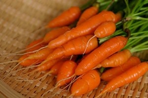 Carrots