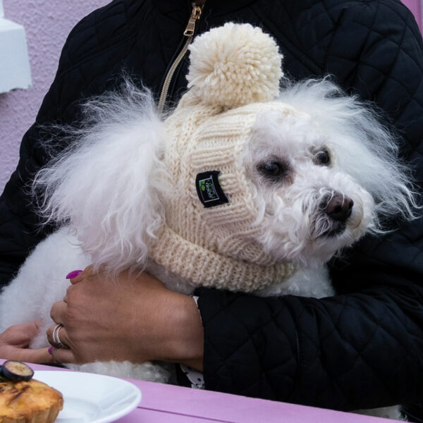 Dog Hat