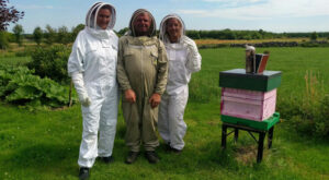 Beekeeping Experience