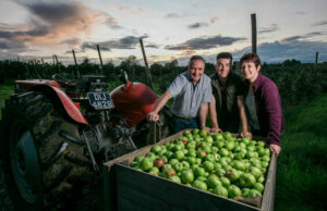 Long Meadow Cider