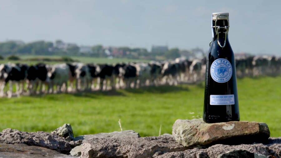 Five Farms Irish Cream Liqueur White Chocolate Martini