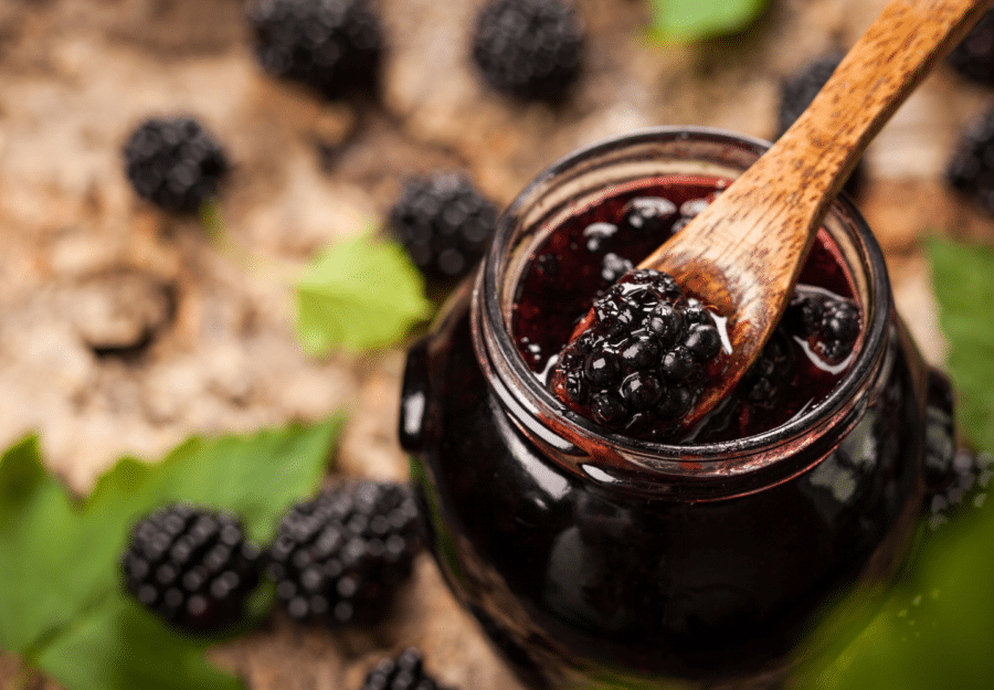 Picking Wild Blackberries