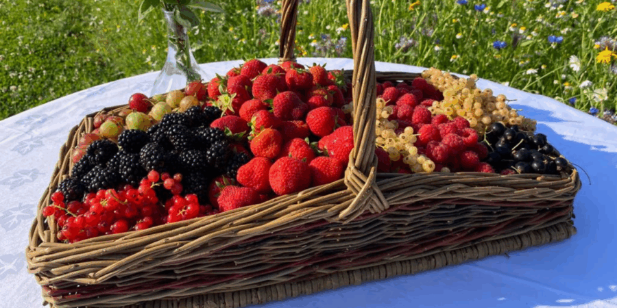 What Foods Are In Season For June